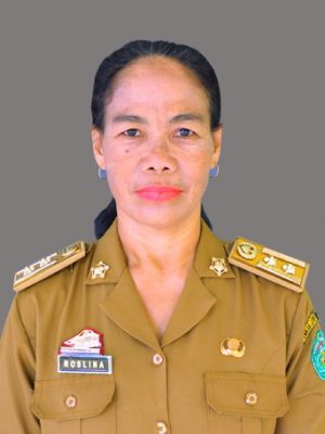 Roslina, S.Pd, M.Pd Roslina, S.Pd, M.Pd